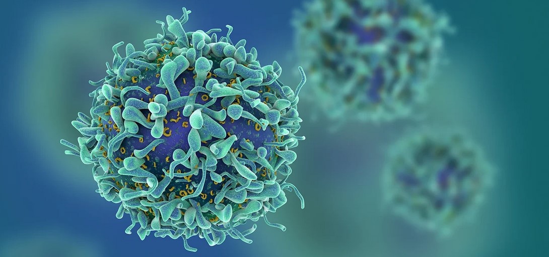 Immunotherapy Hero Image